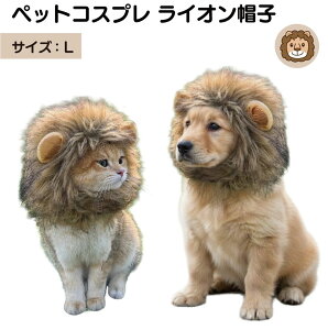 ybgRXv CI LTCY PTC-LL ybg 蕨 Xq  L Ck lR  ˂ RXv  RX`[ 킢 JCC  ybgp 炢 }WbNe[v ϐgObY 