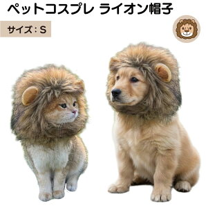 ybgRXv CI STCY PTC-LS ybg 蕨 Xq  L Ck lR  ˂ RXv  RX`[ 킢 JCC  ybgp 炢 }WbNe[v ϐgObY 