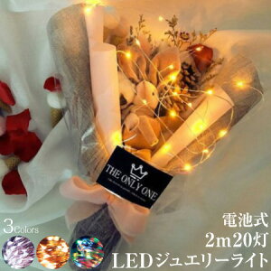 【10/17-10/31まで10%OFFクーポン配布中!!】ハロウィン 飾り ライト LED イルミネーション 電飾 ジュエリーライト 2m 20灯 電池式 全3色 FW-LED2M led クリスマスツリー 飾り付け インテリア メール便(