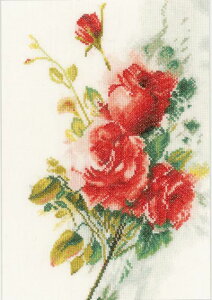 [֑ NXXeb` hJLbg Lanarte^i[e Red roses bouquet^Ԃõu[P l30ct(6/cm)  NXXeb`Lbg イ hJ