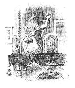 o[X^v svc̍̃AX Looking Glass House yNOz o[X^v AX^v A[gX^v