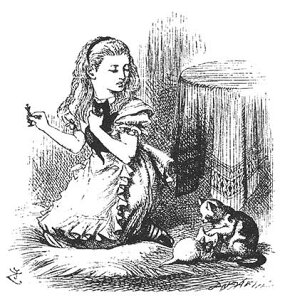 o[X^v svc̍̃AX Alice and Kittens yNOz o[X^v AX^v A[gX^v ejG XNbvubLOAy[p[Ntg