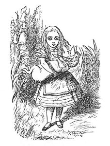 o[X^v svc̍̃AX Alice and Baby Pig yNOz o[X^v AX^v A[gX^v ejG