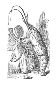 o[X^v svc̍̃AX Lobster yNOz o[X^v AX^v A[gX^v ejG