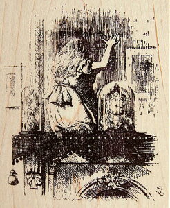 o[X^v ̍̃AX Looking Glass House ejG ؂̎ yEbh}Egz AX^v A[gX^v SEX^v