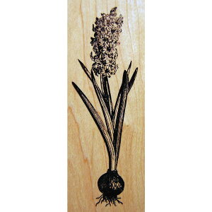 o[X^v qVX ؂̎ Ebh}Eg AX^v A[gX^v SEX^v