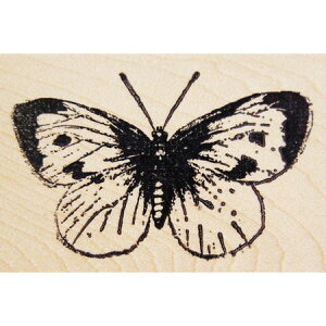 o[X^v o^tC ؂̎ Ebh}Eg AX^v A[gX^v SEX^v