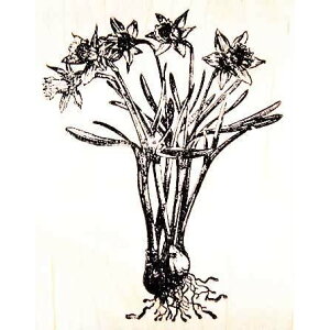 o[X^v XCZ ؂̎ Ebh}Eg AX^v A[gX^v SEX^v