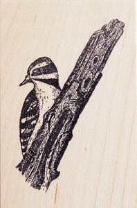 o[X^v LccL ؂̎ Ebh}Eg AX^v A[gX^v SEX^v