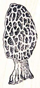 o[X^v A~KT_P ؂̎ Ebh}Eg AX^v A[gX^v SEX^v