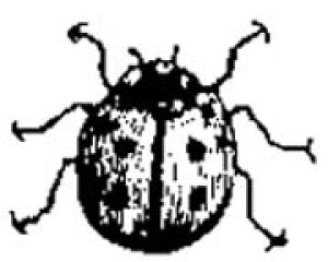 o[X^v egEV ؂̎ Ebh}Eg AX^v A[gX^v SEX^v