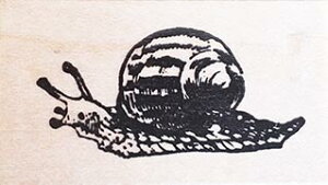 o[X^v J^c ؂̎ Ebh}Eg AX^v A[gX^v SEX^v