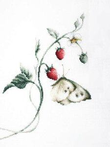 NXXeb` hJLbg [JX Luca-S Ă̍ 18ct C`S X NXXeb`Lbg イ hJ