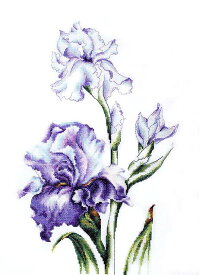 クロスステッチ 刺繍キット ルーカス Luca-S アイリス 16ct 花 植物 クロスステッチキット ししゅう 刺繍