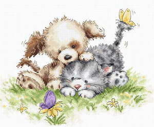 [֑ NXXeb` hJLbg [JX Luca-S ƔLƒX 16ct  NXXeb`Lbg イ hJ