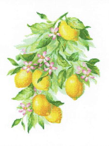 �N���X�X�e�b�` �h�J�L�b�g ���I���X RIOLIS �u���C�g������ Bright Lemons �� �� �A�� �N���X�X�e�b�`�L�b�g �����イ �h�J 25�ԃR�b�g���h�J���g�p