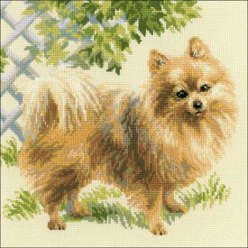 クロスステッチ 刺繍キット リオリス RIOLIS ポメラニアン Pomeranian 犬 クロスステッチキット ししゅう 刺繍 極細毛糸使用