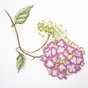 [֑ NXXeb` hJLbg } CXNXjc@ Marya Iskusnitsa AWTC 27ct  A NXXeb`Lbg イ hJ