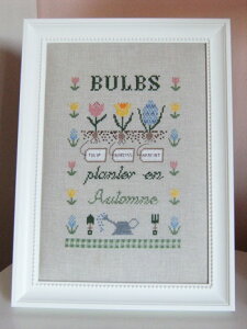 C^ÃNXXeb` hJ} Cuore e Batticuore NI[ G obeBNI[  Bulbs