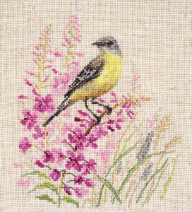 [֑ NXXeb` hJLbg AT ALISA ZLC 16CT    A NXXeb`Lbg イ hJ