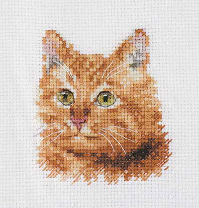 クロスステッチキット 新聞を読む猫 cat 14CT 布に図案印刷なし 刺繍  