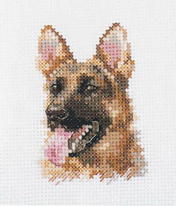 NXXeb` hJLbg AT ALISA VFp[h  NXXeb`Lbg イ hJ