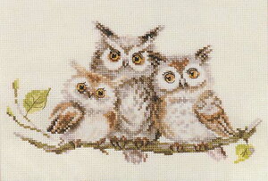 NXXeb` hJLbg AT ALISA tNE  NXXeb`Lbg イ hJ