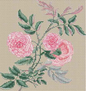 ���[���֑������� �N���X�X�e�b�` �h�J�L�b�g Creative World Of Crafts Rosa Gracilis 14ct�A�C�[�_ �� �o�� �N���X�X�e�b�`�L�b�g �����イ �h�J