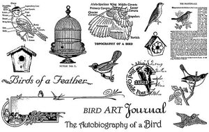 o[h Iu tFU[ 15ނ̃X^vZbg [P[X yNOz TJfUC