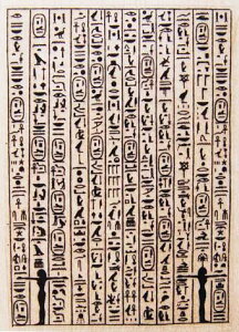 o[X^v V{J ؂̎ Ebh}Eg AX^v A[gX^v SEX^v