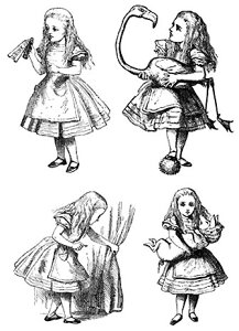 o[X^v usvc̍̃AXv AX4ނ̃X^vZbg yNOz o[X^v AX^v A[gX^v