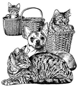 ybg ytH[}Egz AX^v A[gX^v EL