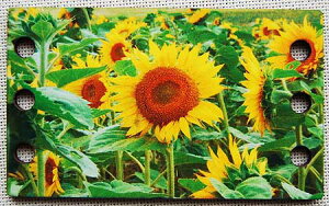 hJ̎dEɕ֗ ؐXbh I[KiCU[ q}EBe[W|XgJ[h