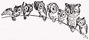 o[X^v }ɂƂ܂ĂtNE ؂̎ Ebh}Eg AX^v A[gX^v SEX^v