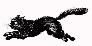 o[X^v ĂL ؂̎ Ebh}Eg AX^v A[gX^v SEX^v