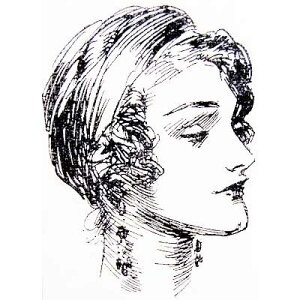 o[X^v GKgfB؂̎ Ebh}Eg AX^v A[gX^v SEX^v