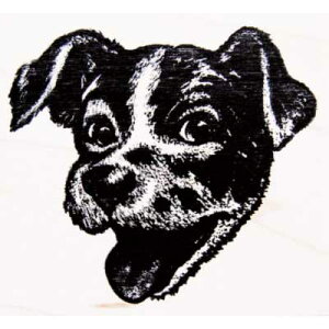 o[X^v ꂵɂĂ錢̊؂̎ Ebh}Eg AX^v A[gX^v SEX^v