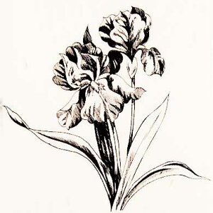 o[X^v ACX ؂̎ Ebh}Eg AX^v A[gX^v SEX^v