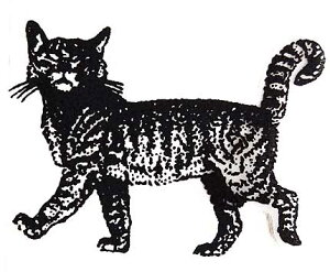 o[X^v ВL ؂̎ Ebh}Eg AX^v A[gX^v SEX^v