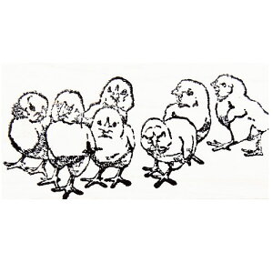 o[X^v Ђ悱̈c ؂̎ Ebh}Eg AX^v A[gX^v SEX^v