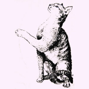 o[X^v qL̎ ؂̎ Ebh}Eg AX^v A[gX^v SEX^v