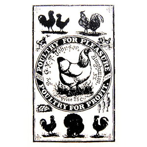 o[X^v jg̎߂鋌L ؂̎ Ebh}Eg AX^v A[gX^v SEX^v XNbvubLOAy[p[Ntg