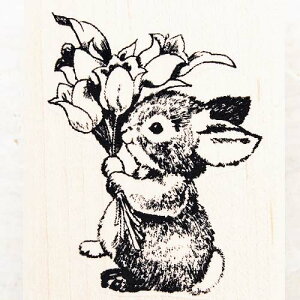 o[X^v oj[ƃu[P ()؂̎ Ebh}Eg AX^v A[gX^v SEX^v