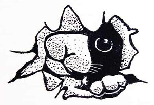 o[X^v ̂ĂlR ؂̎ Ebh}Eg AX^v A[gX^v SEX^v XNbvubLOAy[p[Ntg