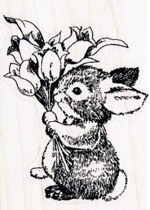 o[X^v oj[ƃu[P ؂̎ Ebh}Eg AX^v A[gX^v SEX^v