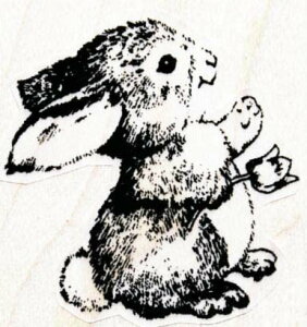 o[X^v Ԃƃoj[ ؂̎ Ebh}Eg AX^v A[gX^v SEX^v