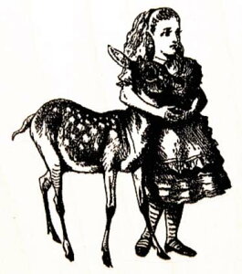 o[X^v ̍̃AX qƃAX ejG ؂̎ Ebh}Eg AX^v A[gX^v SEX^v