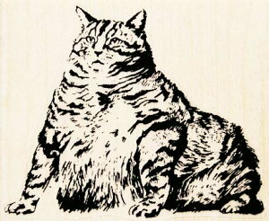 o[X^v lR ؂̎ Ebh}Eg AX^v A[gX^v SEX^v