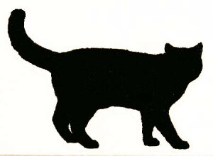 o[X^v L̃VGbg ؂̎ Ebh}Eg AX^v A[gX^v SEX^v