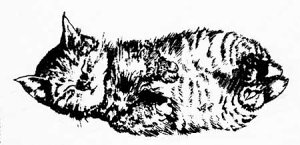 o[X^v ĂqL ؂̎ Ebh}Eg AX^v A[gX^v SEX^v